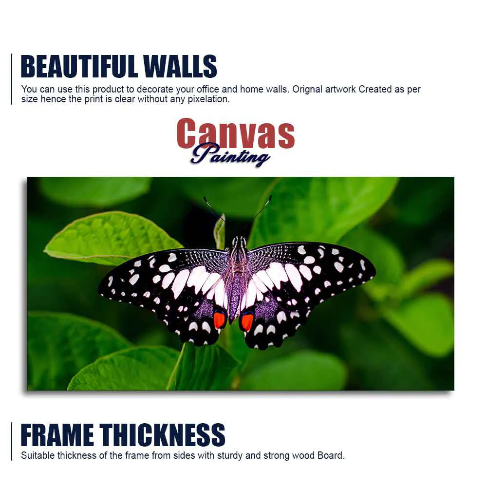 A Beautiful Butterfly on Leaf Premium Canvas Wall Painting - Image 6