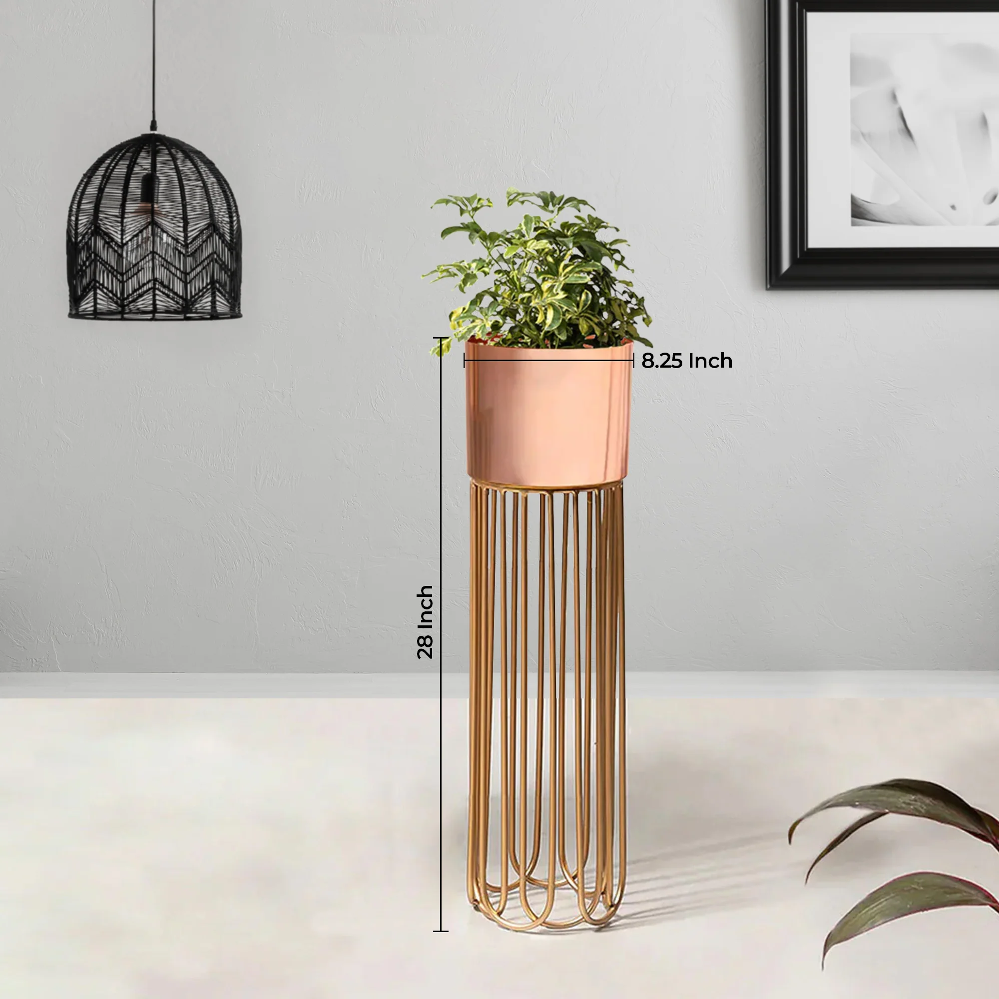 Artisan Arboretum Gold Stand & Ross Gold Pot - Medium Size Planter - Image 3