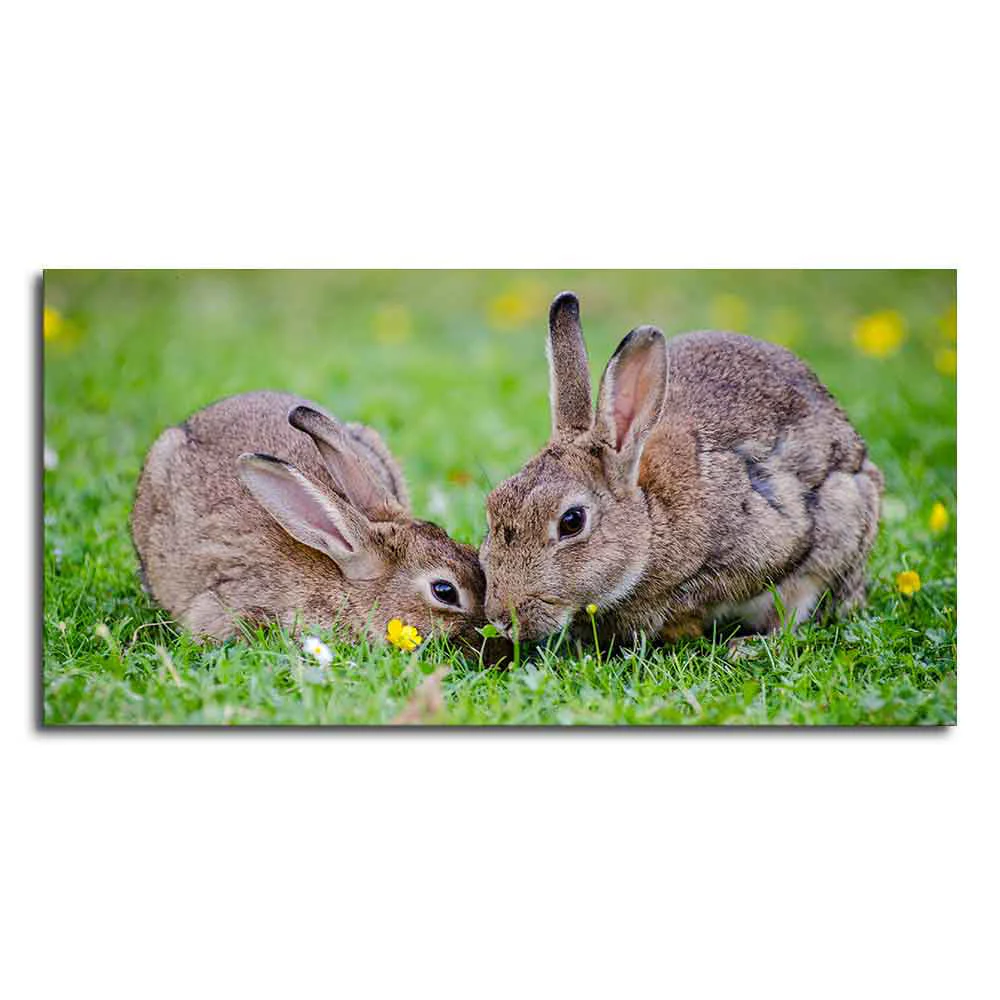 Baby Bunnies in Garden Canvas Wall Painting - Image 4