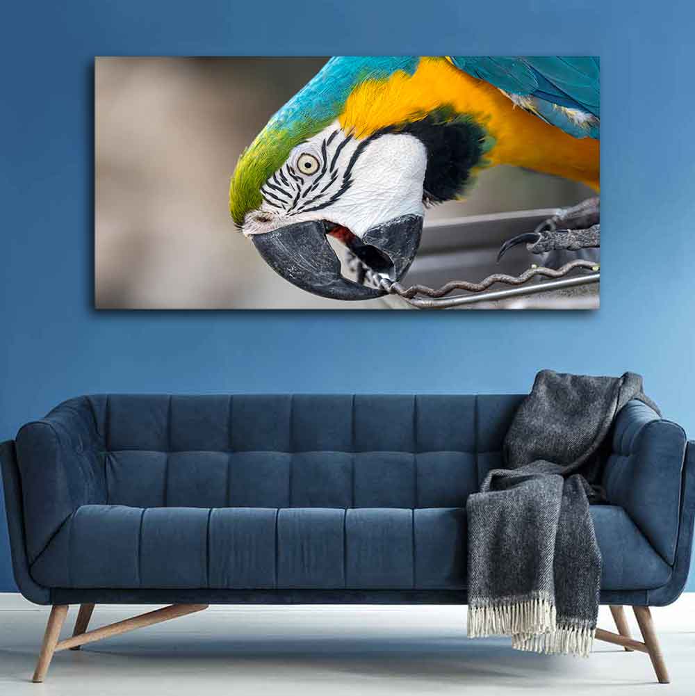 Beautiful Macaw Parrot Canvas Wall Painting - Image 2