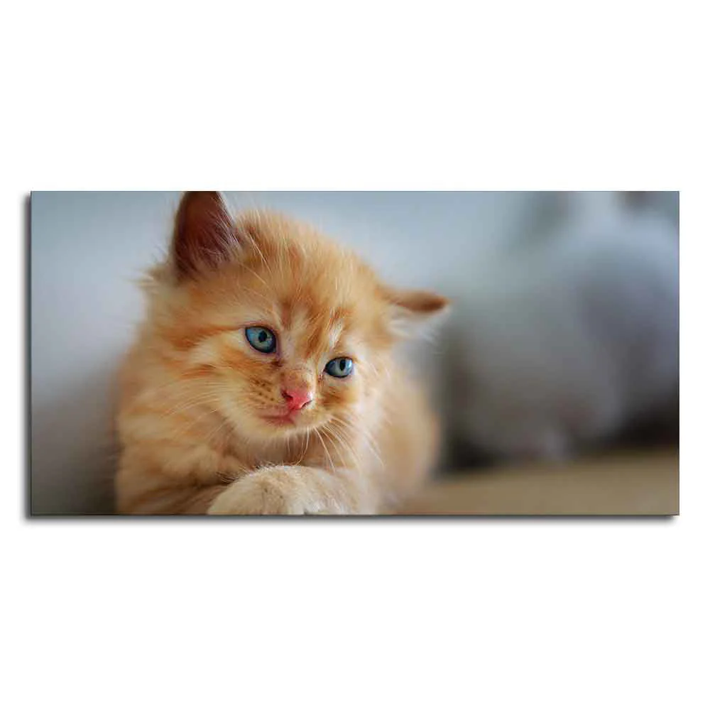 Beautiful Wall Painting of Cute Kitten - Image 4