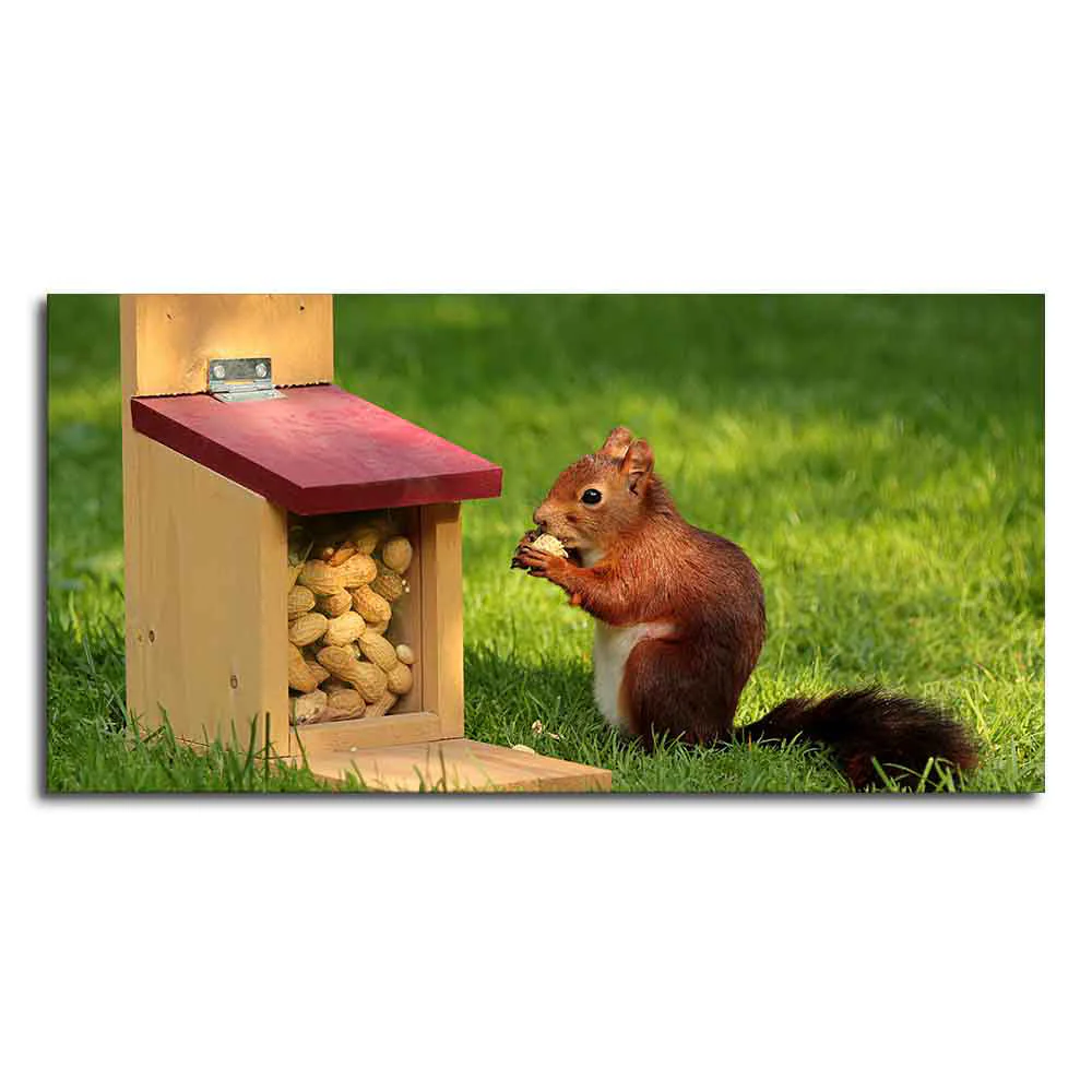 Beautiful Wall Painting of Squirrel Eating Food - Image 4