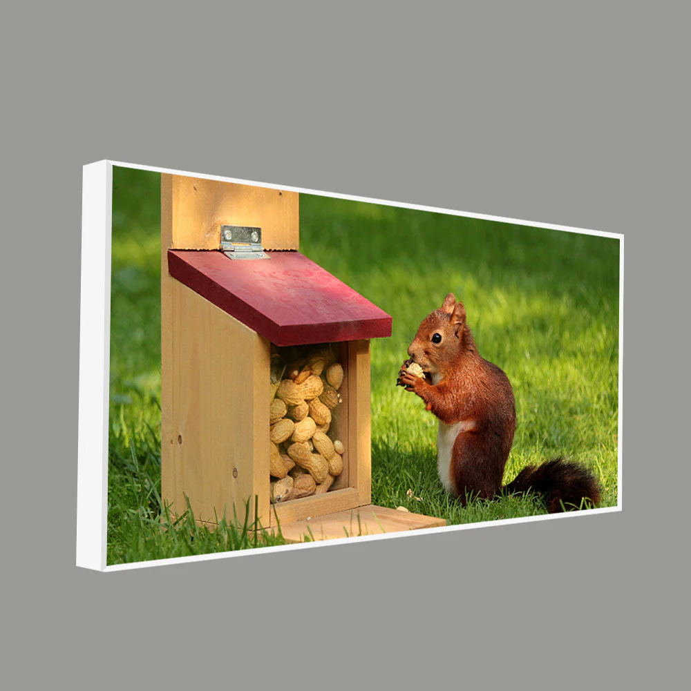 Beautiful Wall Painting of Squirrel Eating Food - Image 5