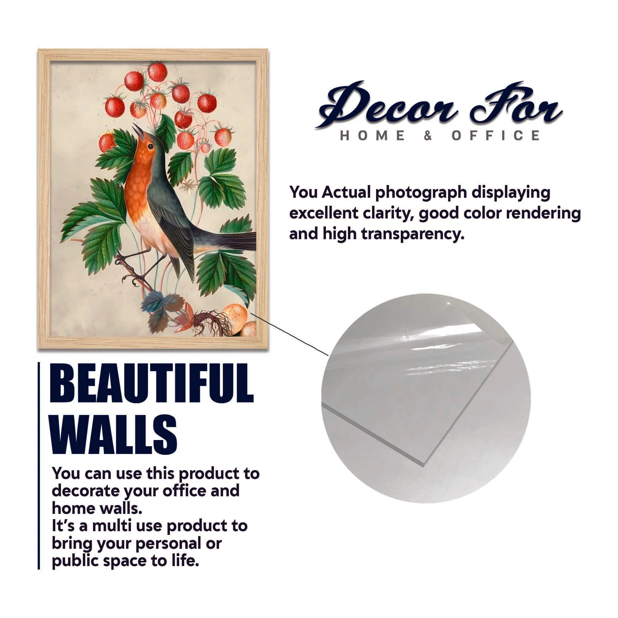 Birds & Floral Wall Frame Set of Four - Image 6