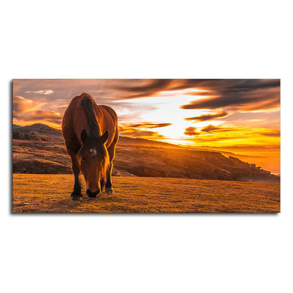 Brown Horse Eating At Sunset Premium Wall Painting - Image 4
