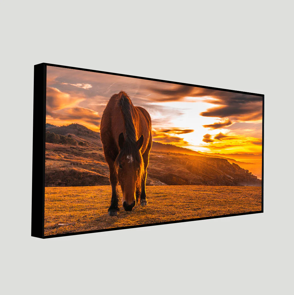 Brown Horse Eating At Sunset Premium Wall Painting - Image 5