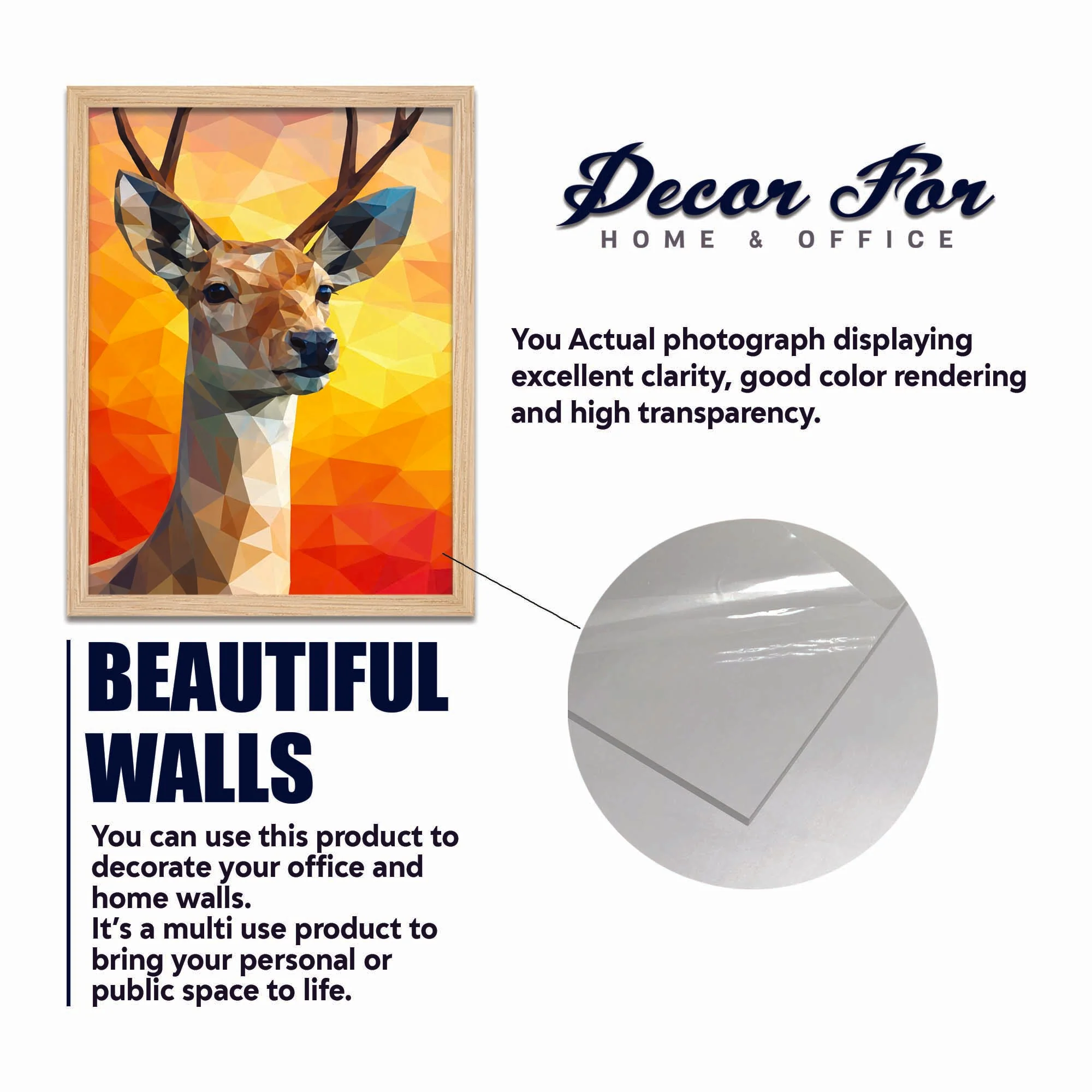 Colorful Abstract Nature Wall Frame Set of Four - Image 6