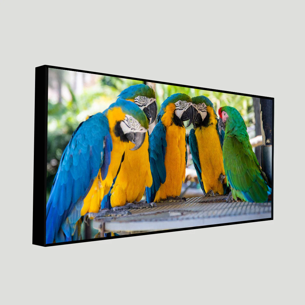 Colorful Mascaw Parrots Canvas Wall Painting - Image 5