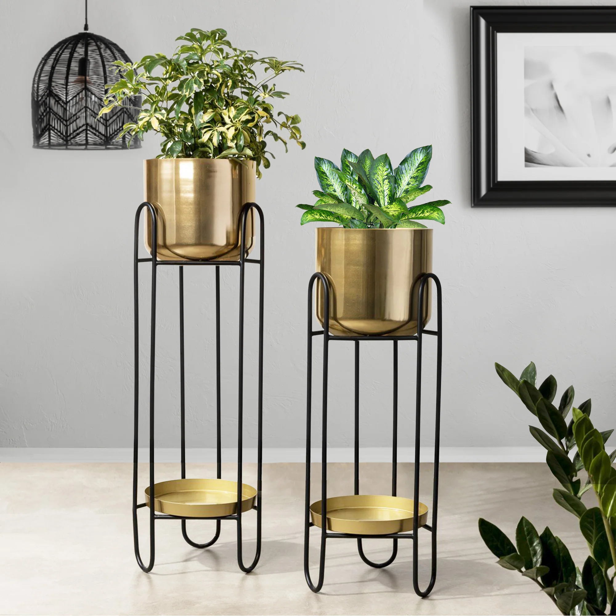 Dual Crown Black Stand & Golden Finish Pot Planters Set of 2 - Image 2