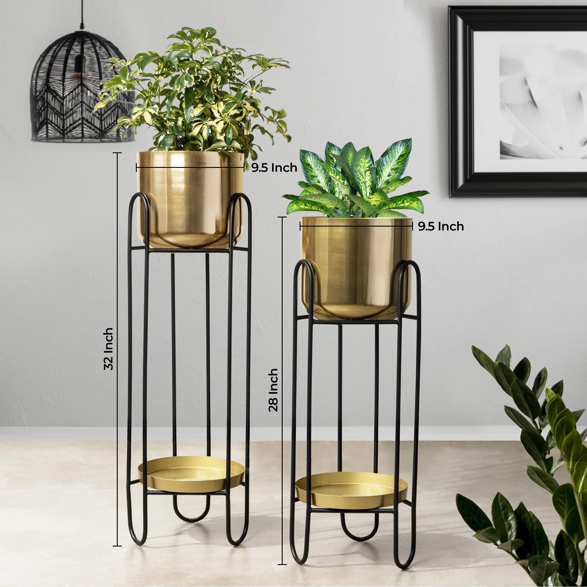 Dual Crown Black Stand & Golden Finish Pot Planters Set of 2 - Image 3