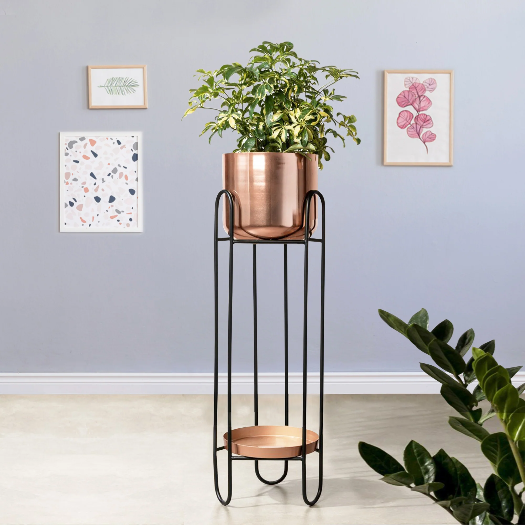 Dual Crown Black Stand & Ross Gold Finish Pot - Large Size Planter - Image 2