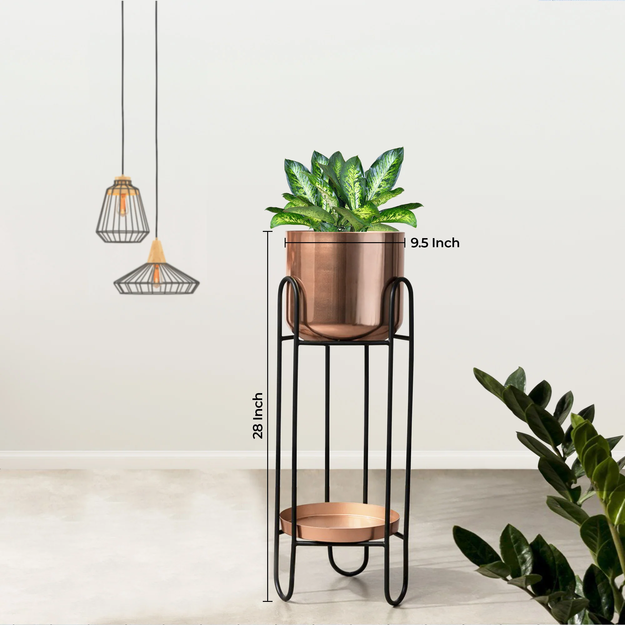Dual Crown Black Stand & Ross Gold Finish Pot - Medium Size Planter - Image 3