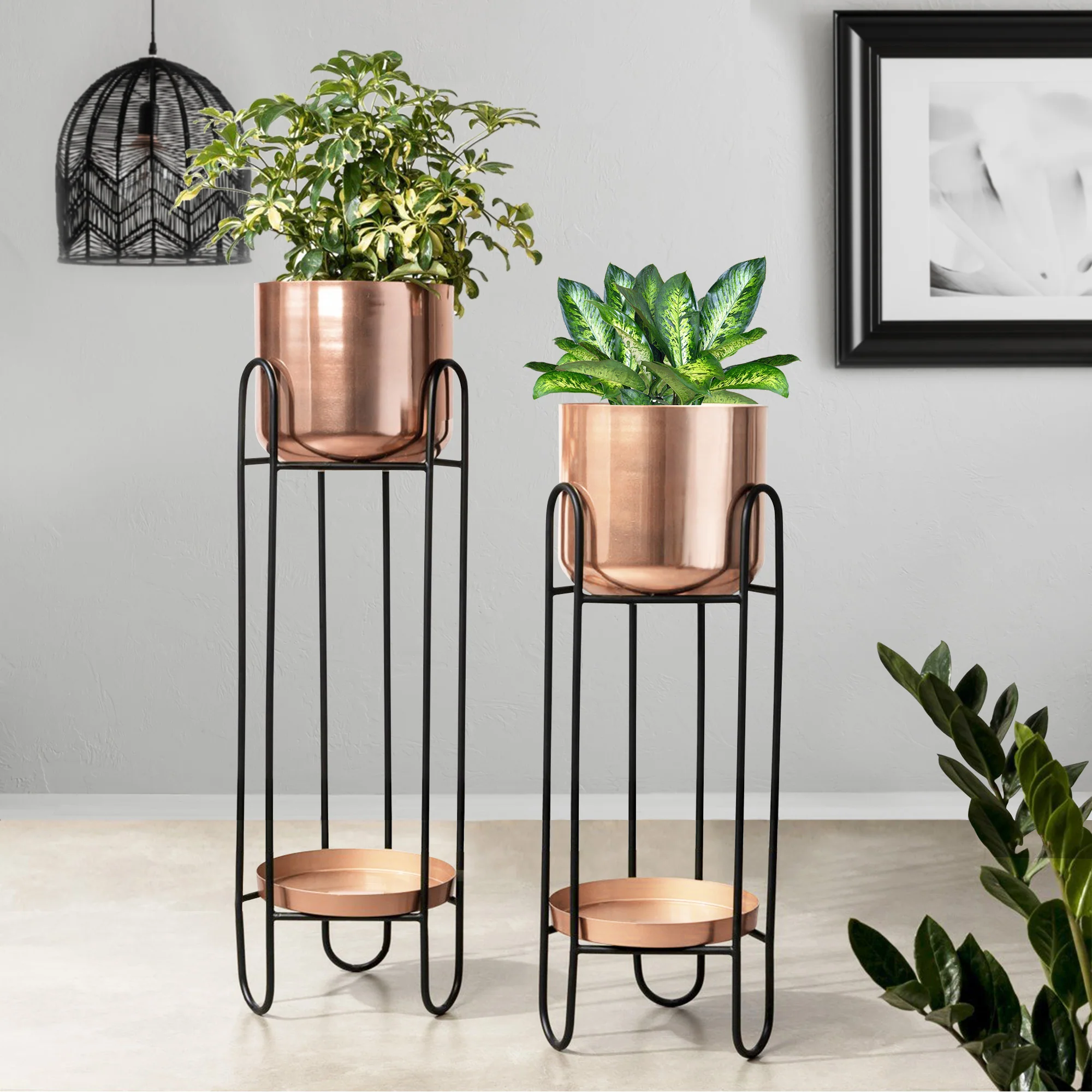 Dual Crown Black Stand & Ross Gold Finish Pot Planters Set of 2 - Image 2