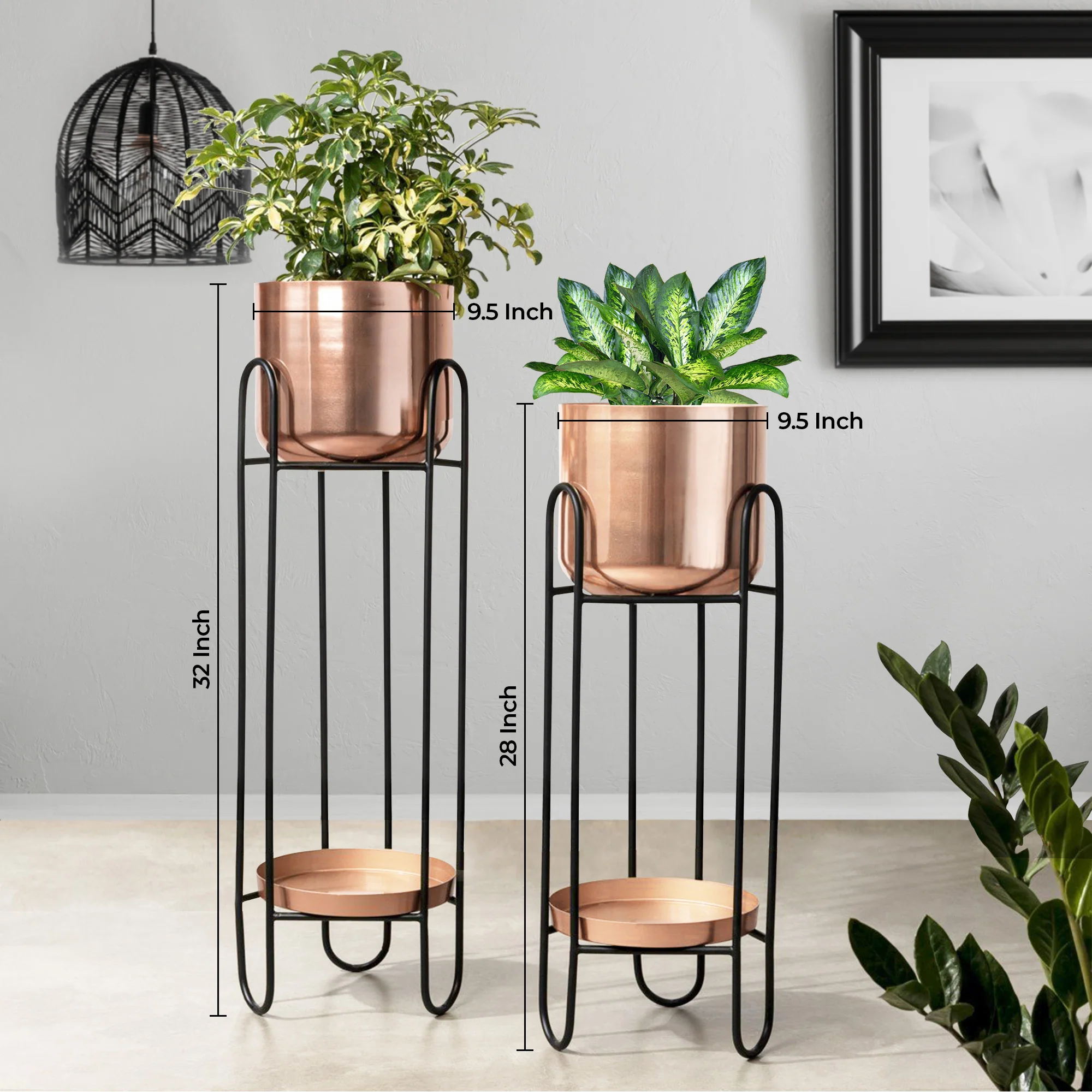 Dual Crown Black Stand & Ross Gold Finish Pot Planters Set of 2 - Image 3