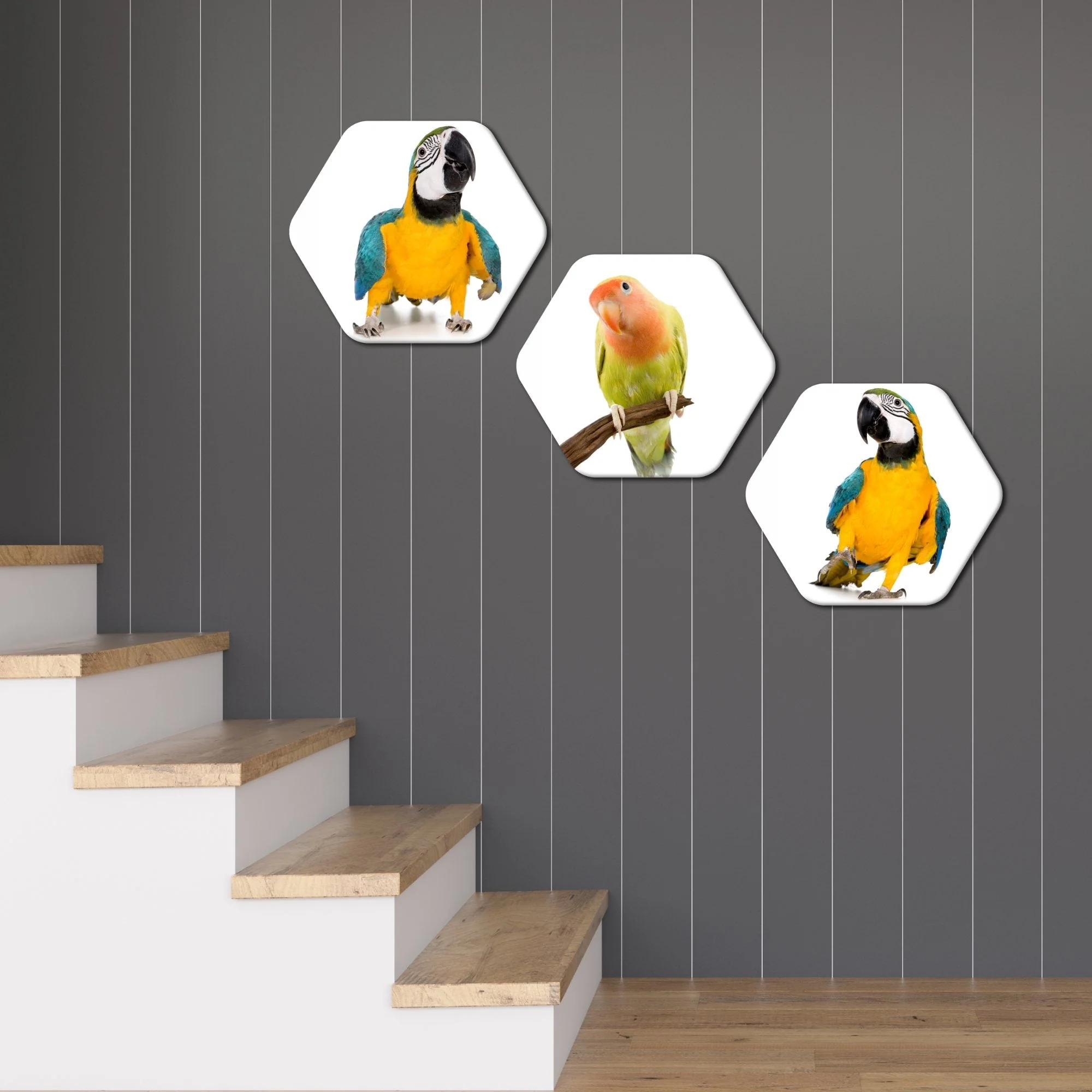 Hexagon Painting of Parrots Set of 3 - Image 3