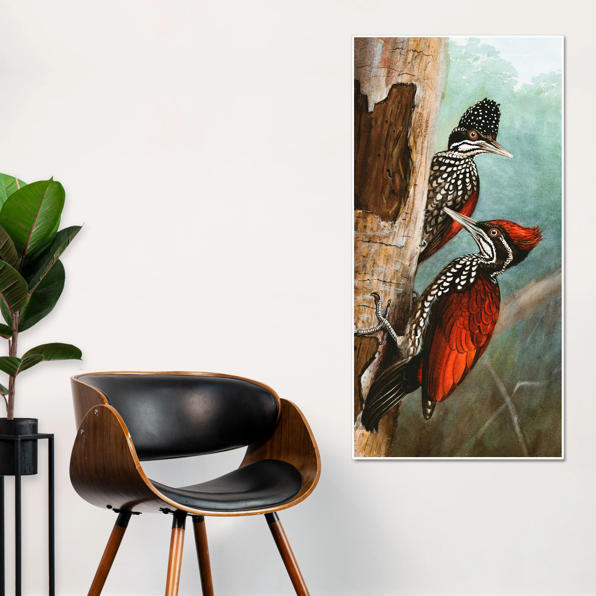 Ivory Billed Woodpecker Canvas Wall Painting For Hall - Image 2