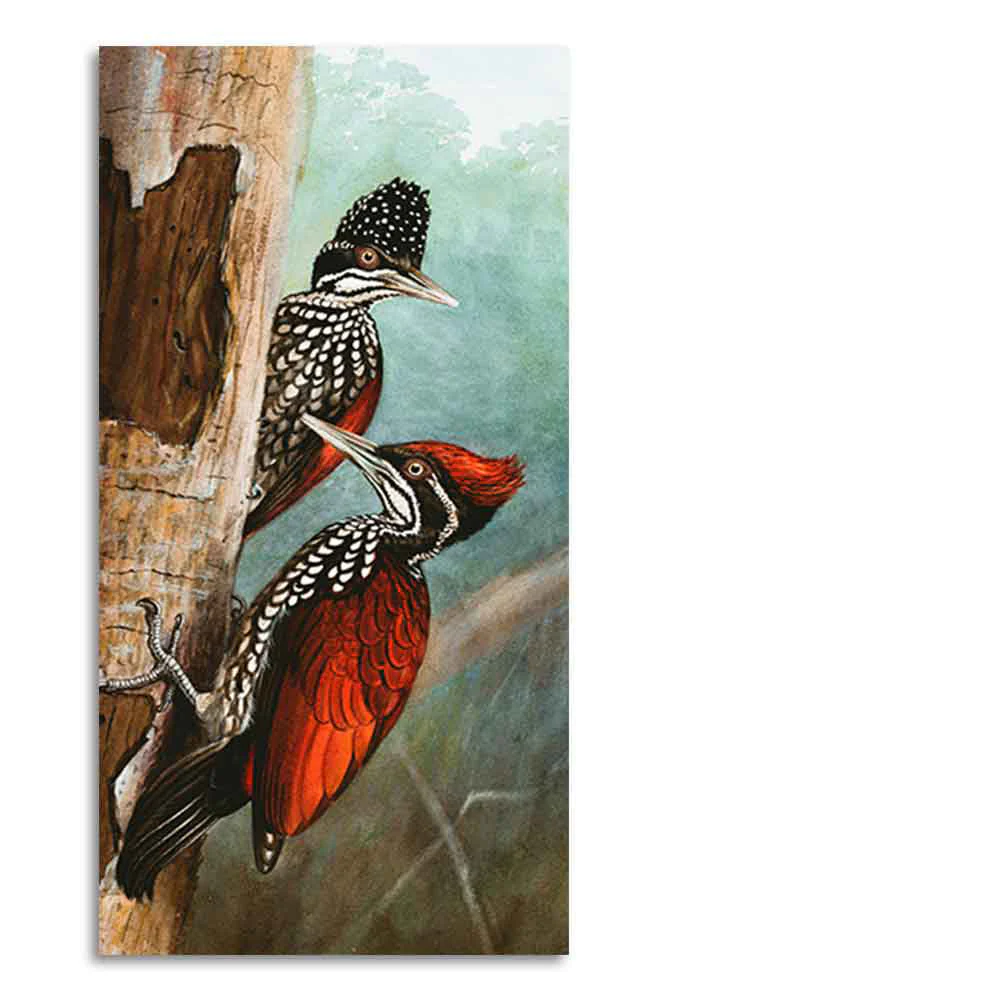 Ivory Billed Woodpecker Canvas Wall Painting For Hall - Image 6