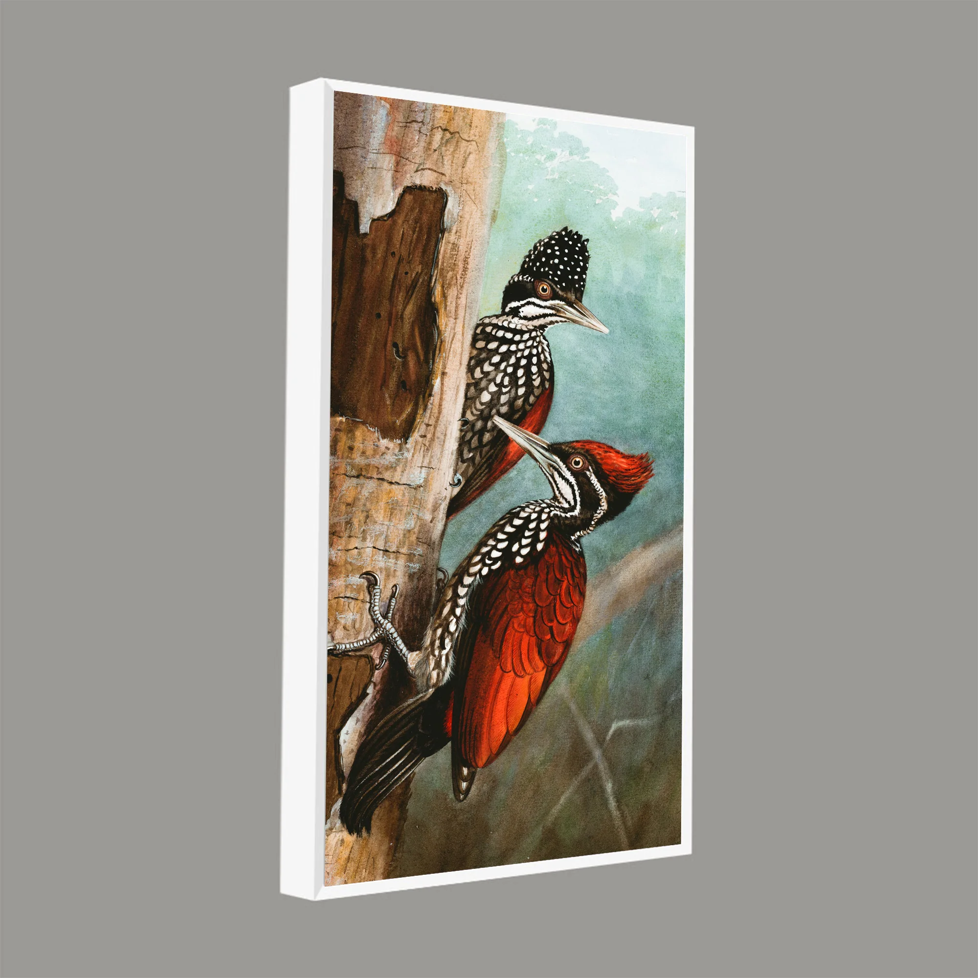 Ivory Billed Woodpecker Canvas Wall Painting For Hall - Image 7