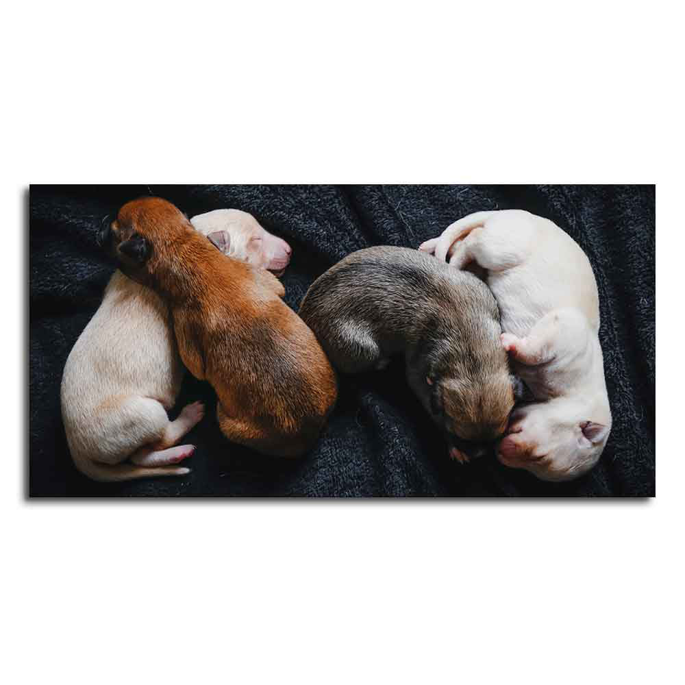 New Born Puppies Premium Canvas Wall Painting - Image 4
