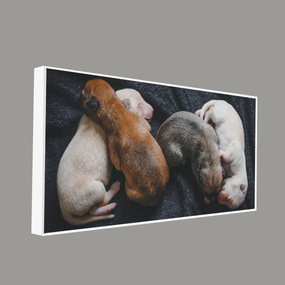 New Born Puppies Premium Canvas Wall Painting - Image 5