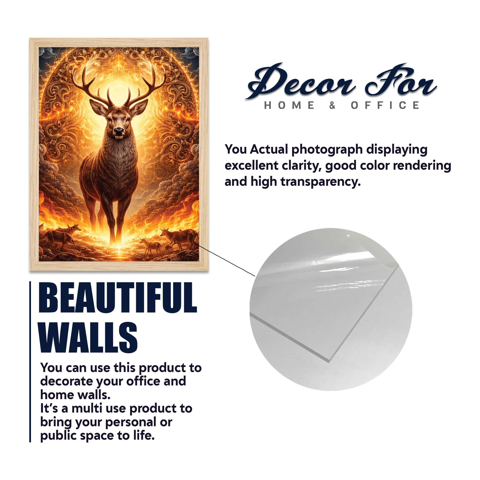 Powerful Wildlife Wall Frame Set of Four - Image 6