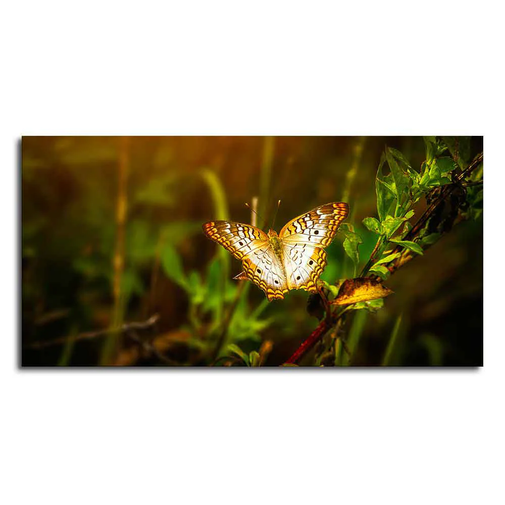 Premium Canvas Wall Painting of A Beautiful Butterfly in Forest - Image 4