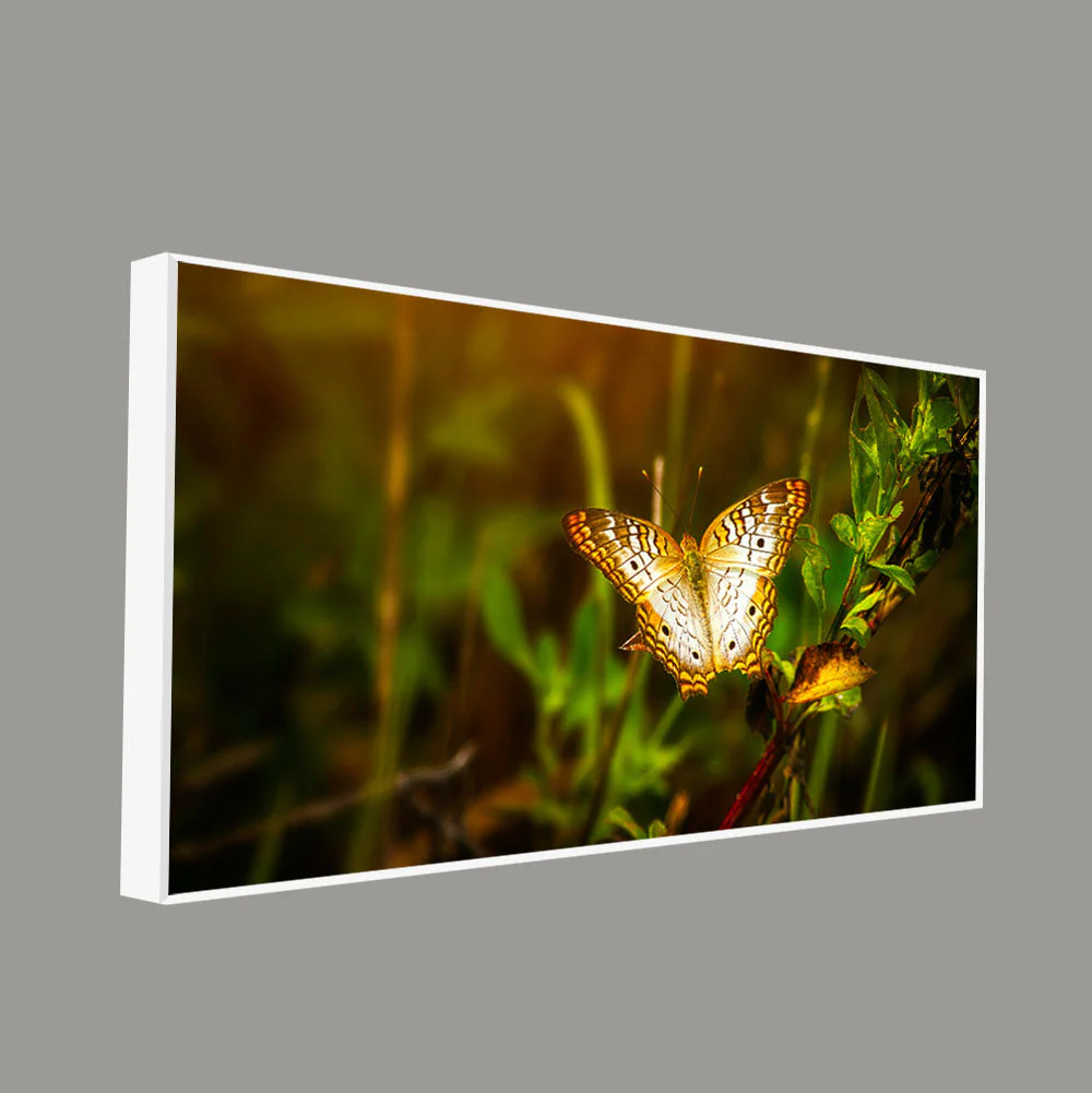 Premium Canvas Wall Painting of A Beautiful Butterfly in Forest - Image 5