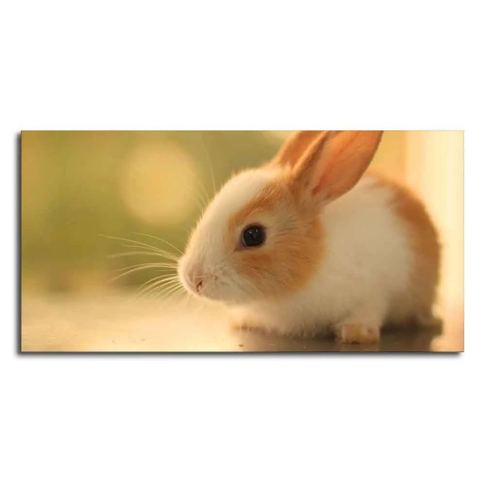 Premium Canvas Wall Painting of Cute White & Brown Bunny - Image 4