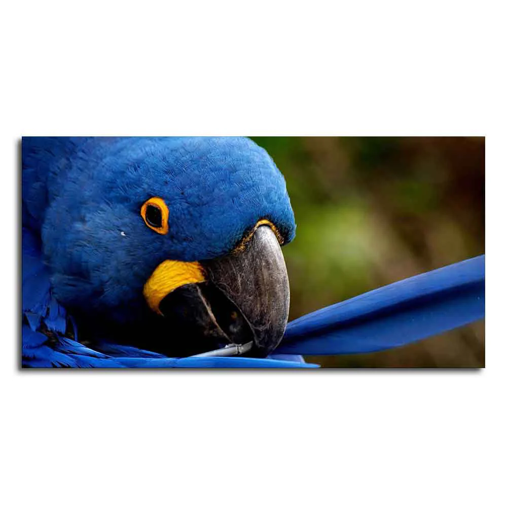 Premium Wall Painting of Blue Mascaw Parrot - Image 4