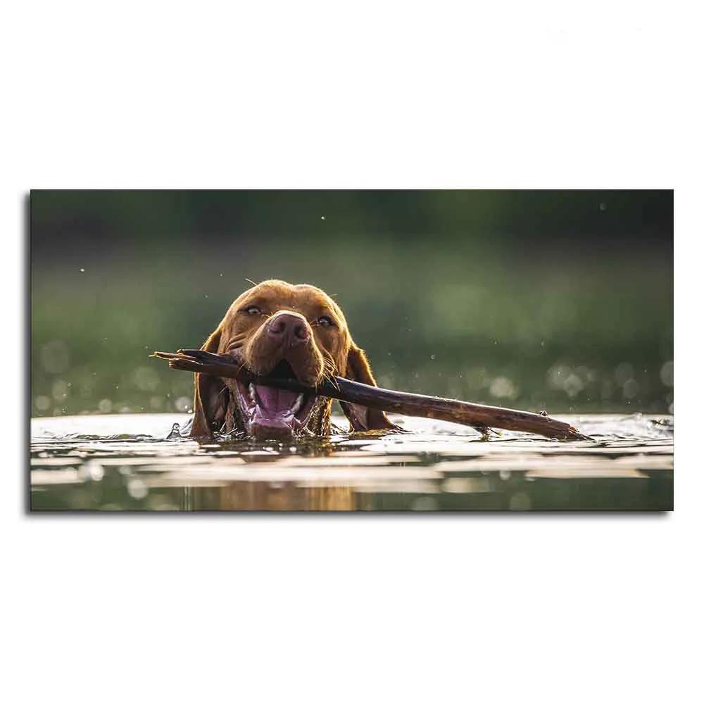 Premium Wall Painting of Dog Swimming - Image 4