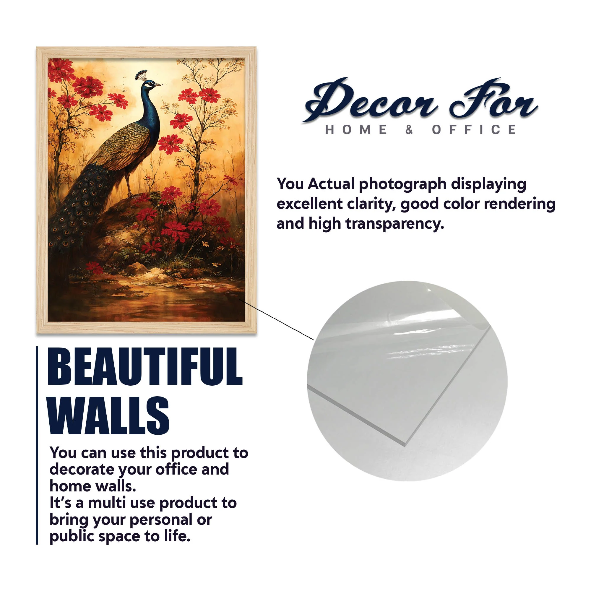 Timeless Nature & Flower Wall Frame Set of Four - Image 6