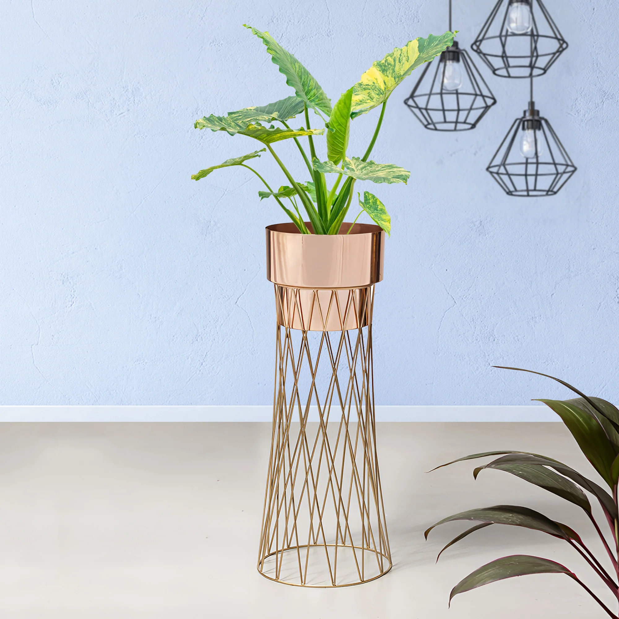Zen Botanics Gold Stand & Ross Gold Pot - Large Size Planter - Image 2
