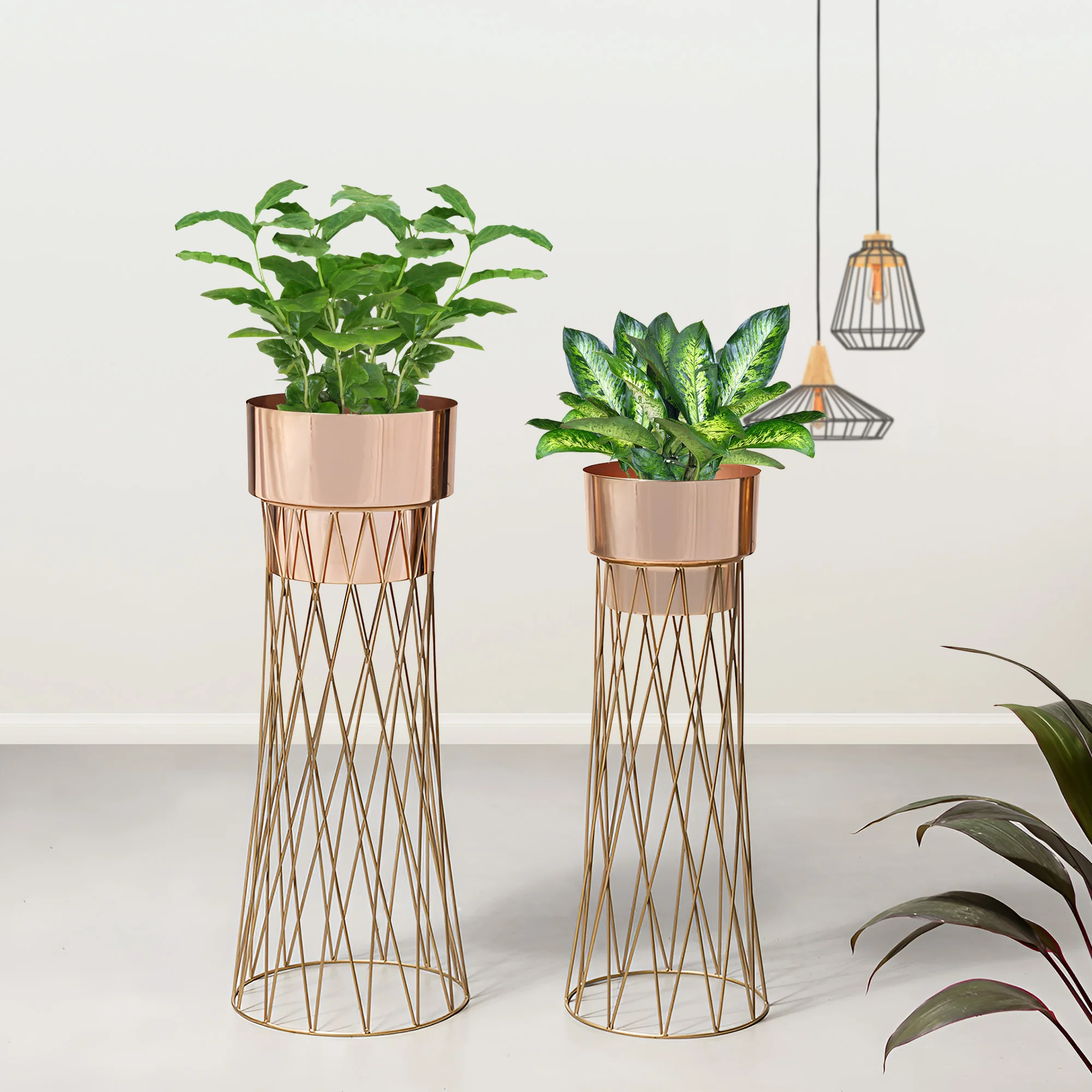 Zen Botanics Gold Stand & Ross Gold Pot Planters Set of 2 - Image 2